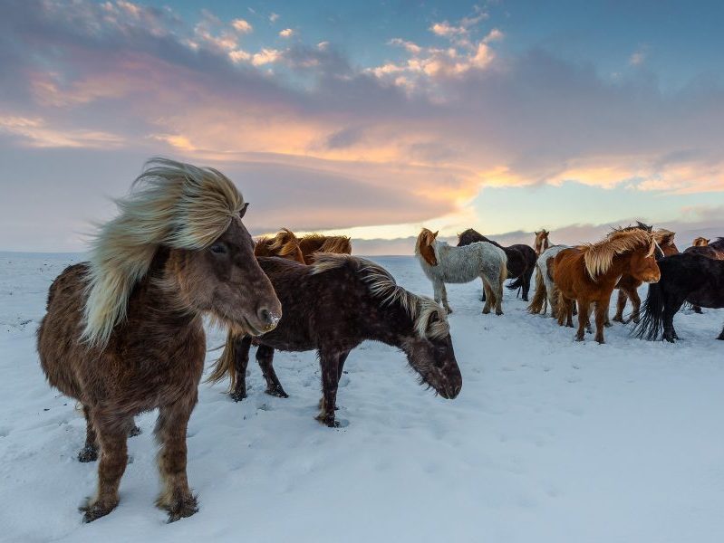 islande1